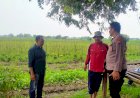 Kapolsek-Prambon-Silaturahmi-dengan-Warga-Desa-Jatikalang-Terkait-Pengelolaan-Pekarangan-Bergizi