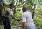 Kapolsek-Taman-Masifkan-Peran-Bhabinkamtibmas-Dukung-Program-Ketahanan-Pangan