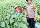 Dukung-Ketahanan-Pangan-Lewat-Perawatan-Tanaman-Hortikultura-di-Balongbendo