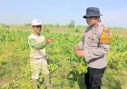 Patroli-Sambang-Lahan-Pekarangan-Pangan-Bergizi-di-Desa-Waruberon-Perkuat-Ketahanan-Pangan-Lokal