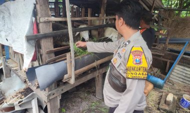 POLRESTA-SIDOARJO-|-Sinergi-Kepolisian-dan-Warga-Kembangkan-Program-Ketahanan-Pangan-di-Tanggulangin-Sidoarjo