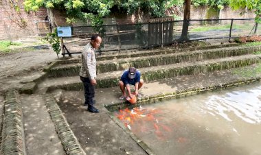Semangati-Warga-Wujudkan-Ketahanan-Pangan-di-Tingkat-Desa,-Bhabinkamtibmas-Polsek-Prambon-Tinjau-Budidaya-Ikan-Nila