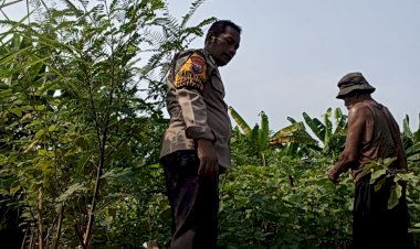 Kepedulian-Bhabinkamtibmas-Tambak-Kalisogo-kepada-Lansia-Penggerak-Ketahanan-Pangan-di-Tengah-Patroli