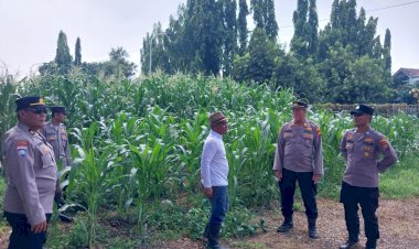 Ketahanan-Pangan-Sidoarjo-Kota,-Kolaborasi-Warga-dan-Polisi-Suburkan-Tanaman-Jagung