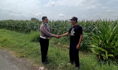 Kapolsek-Tarik-Masifkan-Peran-Bhabinkamtibmas-Turun-ke-Desa-Dampingi-Warga-Penggerak-Ketahanan-Pangan