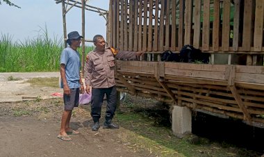 Bhabinkamtibmas-Desa-Bakungpringgodani-Dukung-Ketahanan-Pangan-Lewat-Peternakan-Kambing