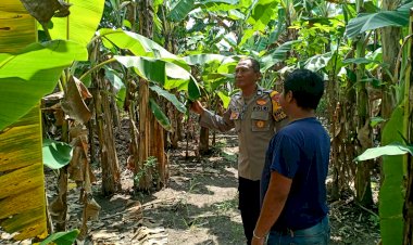 Bhabinkamtibmas-Kenongo-Motivasi-Warga-Kembangkan-Lahan-Pisang,-Wujudkan-Asta-Cita-Presiden-Prabowo