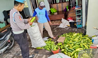 Polsek-Porong-Dampingi-Warga-Budidaya-Mentimun