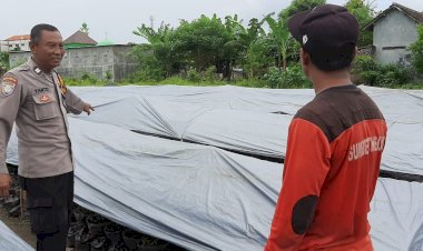 Polsek-Tulangan-Dampingi-Warga-Rawat-Tanaman-Cabai-di-Pekarangan-Rumah