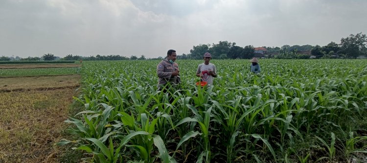 Bhabinkamtibmas Desa Segodobancang Perkuat Ketahanan Pangan Lokal